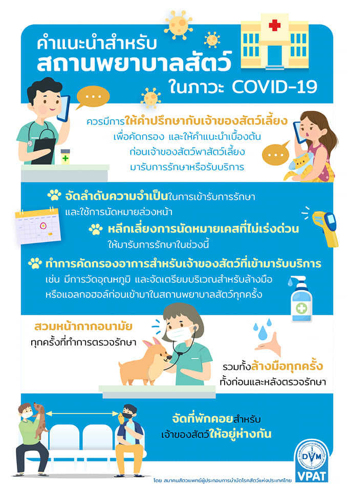 The Veterinary Practitioner Association of Thailand